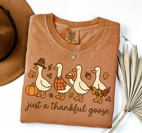 Just a thankful goose