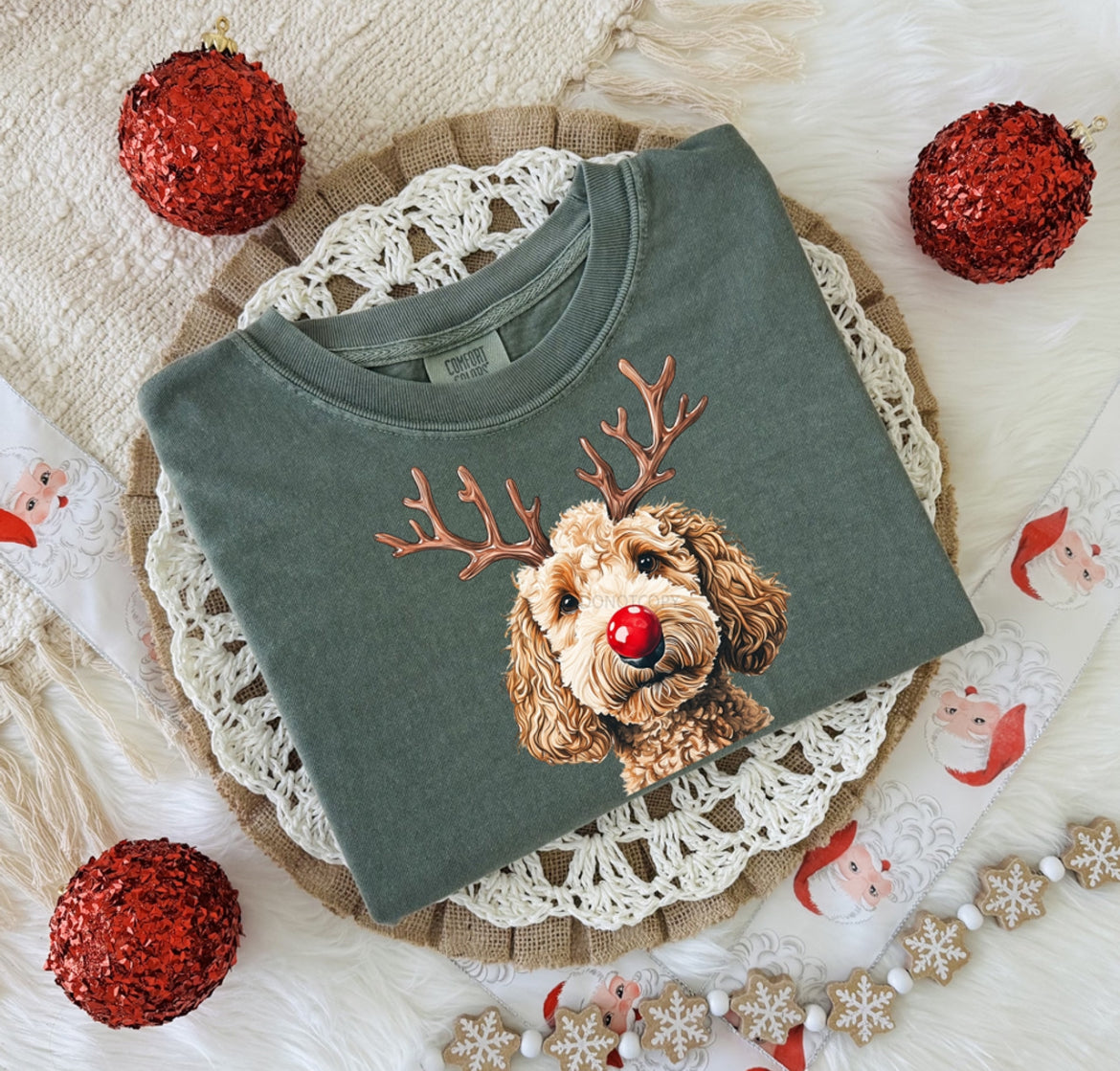 Red nosed golden doodle